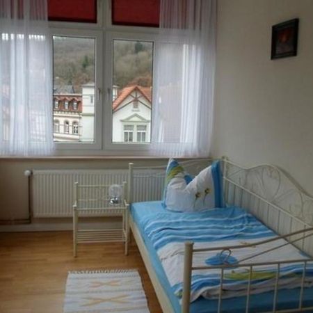 Wohnung In Blankenburg Harz Mit Grill, Garten Und Terrasse المظهر الخارجي الصورة